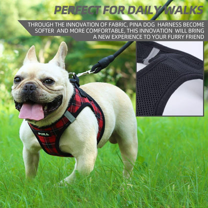 PINA Dog Harness for Small Dogs No Pull, Small Dog Harness and Leash Set, No Choke Breathable Mesh Dog Vest Harness, Lightweight Adjustable Small Medium Dog Harness - Easy to Put On and Take Off