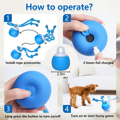 Saolife Interactive Dog Toys, Moving Dog Ball with Touch Activated, Active Rolling Ball for Puppy and Medium Dogs, Squeaky, USB Rechargeable