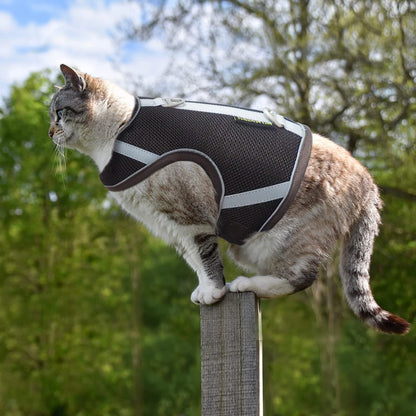PATTEPOINT Escape Proof Mesh Cat Harness and Leash Set, Adjustable Walking Jacket Vest for Extra Kittens, Easy Control Reflective Cat Vest Harnesses for Small Medium Pets Outdoor (XS Coffee)