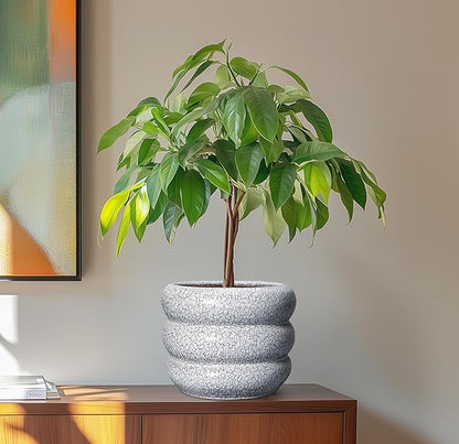 SQOWL Ceramic Pots for Plants - 8 Inch Plant Pot with Drainage Hole, Round Planter for Indoor Plants, Ceramic Flower Pots Outdoor, Modern Planter, Room Decor, Gifts for Plant Lover, Black and White