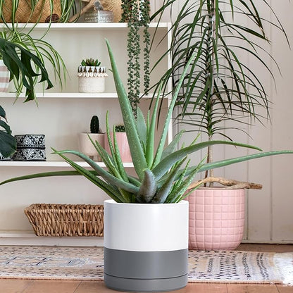 D'vine Dev 8.2 Inch & 10 Inch Ceramic Planter Pot for Plants with Drainage Hole and Saucer, Large Plant Pots Set, White/Speckled Grey, 94-G-L-6