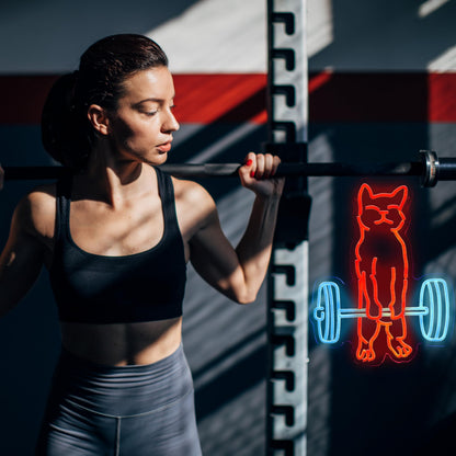 Cat Do Gym Neon Sign for Home Gym Decor Cat Lifting Weight Funny Lighting Sign LED Wall Art for Men Cave Garage Decor 12.6 * 16.1IN