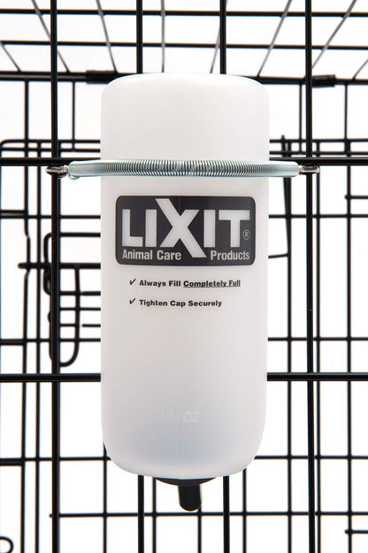 Lixit Wide Mouth Water Bottles for Large and Small Dogs (16oz Small Dog, White)
