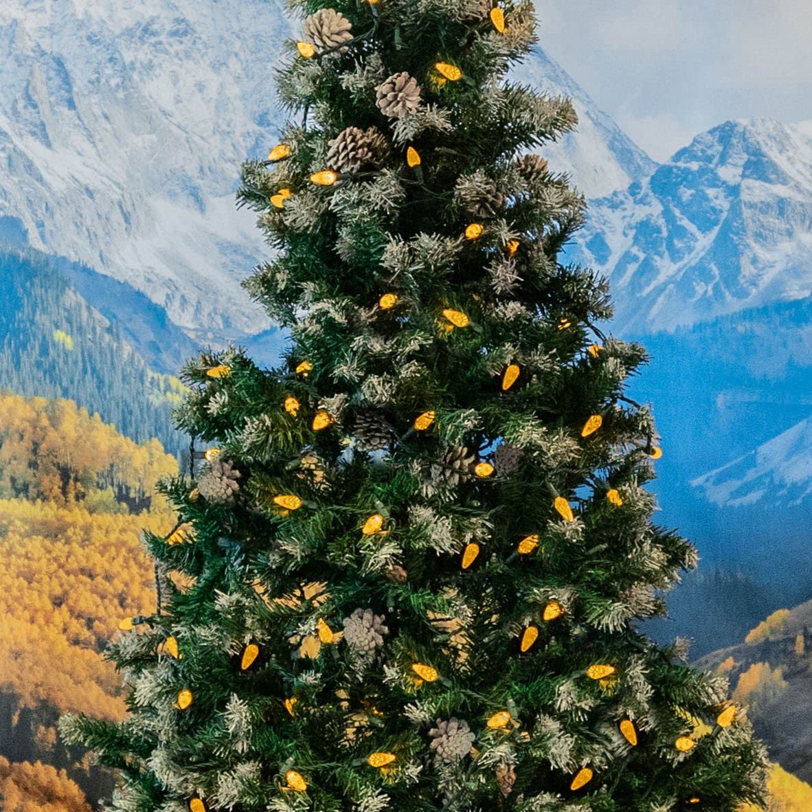 Novelty Lights 24FT 70 LED C6 LED Christmas String Lights, Outdoor Christmas Tree Commercial Grade LED String Lights, Permanent Christmas Lights Outdoor Tree Decorations Outdoor (Yellow)