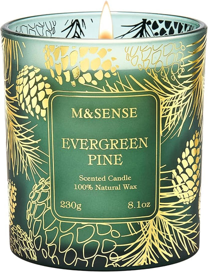 M&SENSE Evergreen Pine Scented Vegan Soy Candles,8.1oz 42-Hour Slow Burning Time,No Toxin Candles for Fall Winter Aromatherapy Calming Home Fragrance,Fall Winter Thanksgiving Christmas Gifts