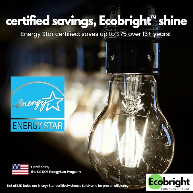 EcoBright 4PK Dimmable A19 LED Filament Bulb, 10W (100W Equivalent), E26 Base, 1100 Lumens, CRI90+, Flicker-Free Clear Glass, Energy Star Title 20, Daylight 5000K
