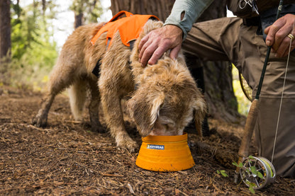 Ruffwear, Bivy Bowl Collapsible Ultralight and Packable Dog Bowl, Salamander Orange, Medium