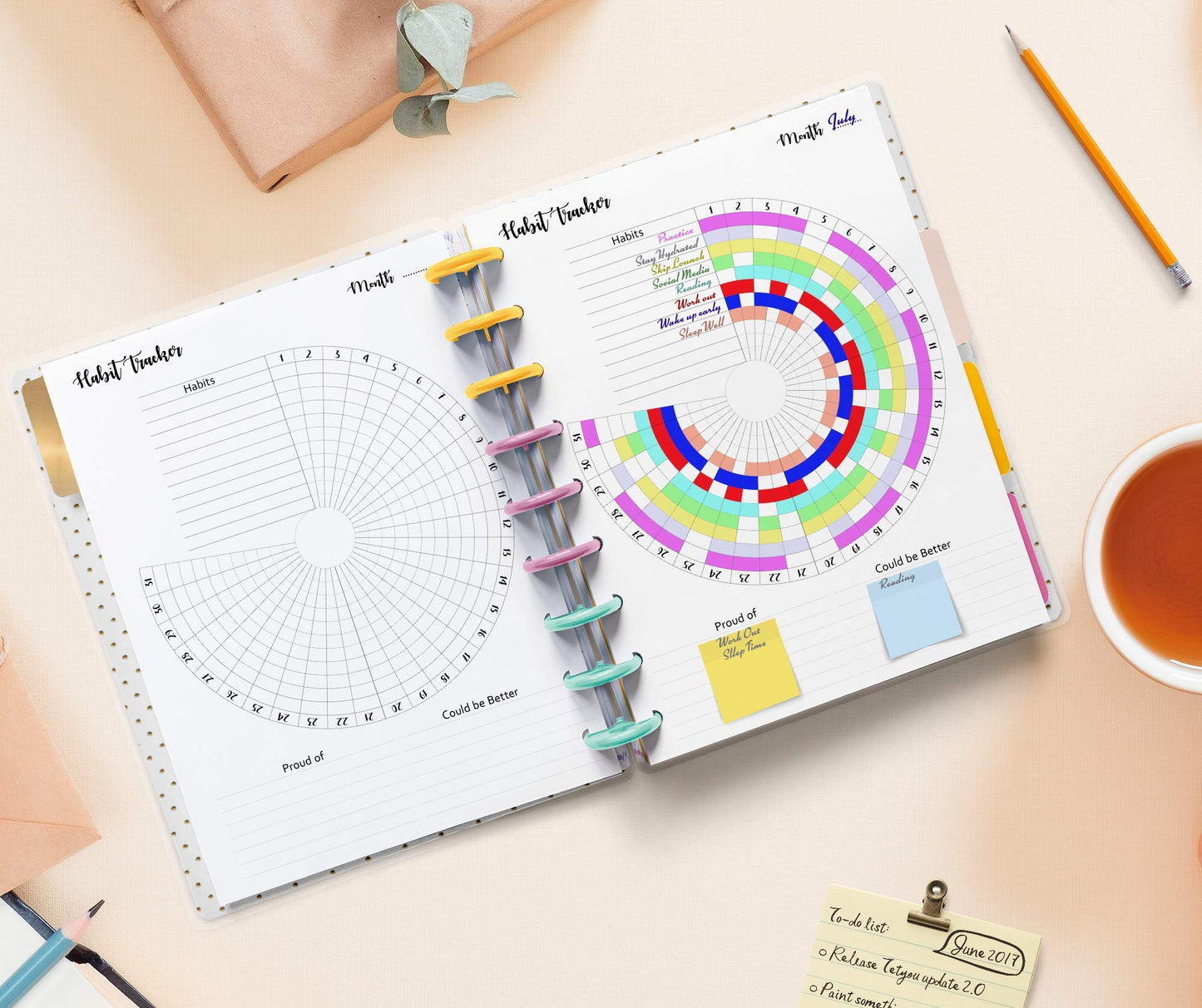 Habit Tracker Inserts for 11 Disc Big Planners, Habit Log, Resolution Tracker, Monthly Habit Planner for Letter Size Planners (11 Disc Big (8.5" x 11"))