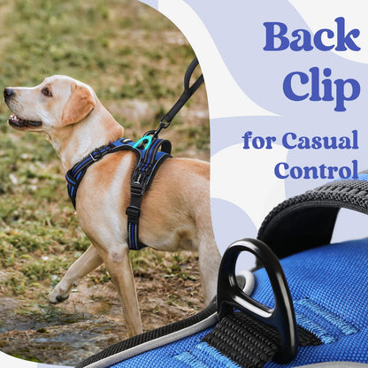 rabbitgoo Dog Harness Medium Sized, No Pull Pet Harness with 3 Buckles, Adjustable Soft Padded Pooch Vest with Instant Control Handle, Easy Walking Reflective Pet Vest for Medium Dogs, Blue, M