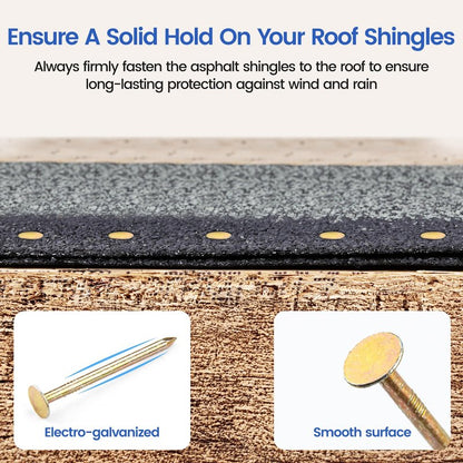 meite Coil Roofing Nails 1-3/4 Inch 15 Degree Electro Galvanized Coil Nails for Pneumatic or Cordless Roofing Nailer Gun, Big Head Wire-Collated Roofing Nails for Lathing Sheathing 2,880PCS