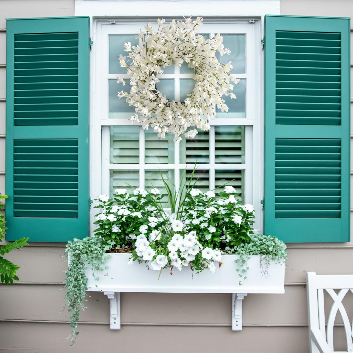 Spring Wreath for Front Door, 24 Inch White Cream Forsythia Spring Wreath Blossom Cluster Flower Farmhouse on Grapevine for Front Door Wall Window Hanging Décor Festival Celebration