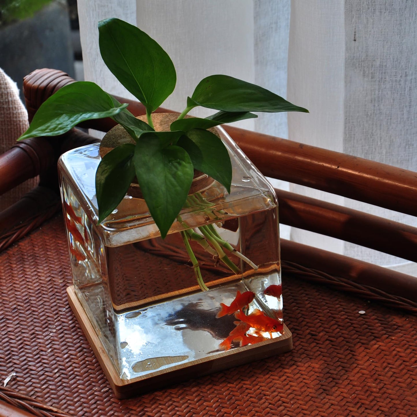Desktop Betta Fish Tank with Wood Lid and Bamboo Stand Small Fish Bowl Glass for Beta Fish Hydroponic Plant Terrarium Aquarium Starter Kit 0.5 Gallon