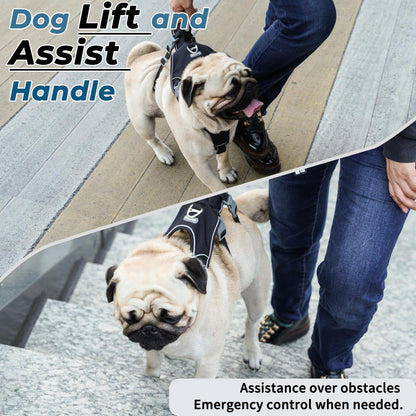 Wuffley Escape Proof Dog Harness and Leash Set, Lightweight Dog Harness with Lift and Assist Handle, No Pull Reflective Pet Vest for Small Medium Dogs, Ideal for Puppy Walking and Training (Black,XS)
