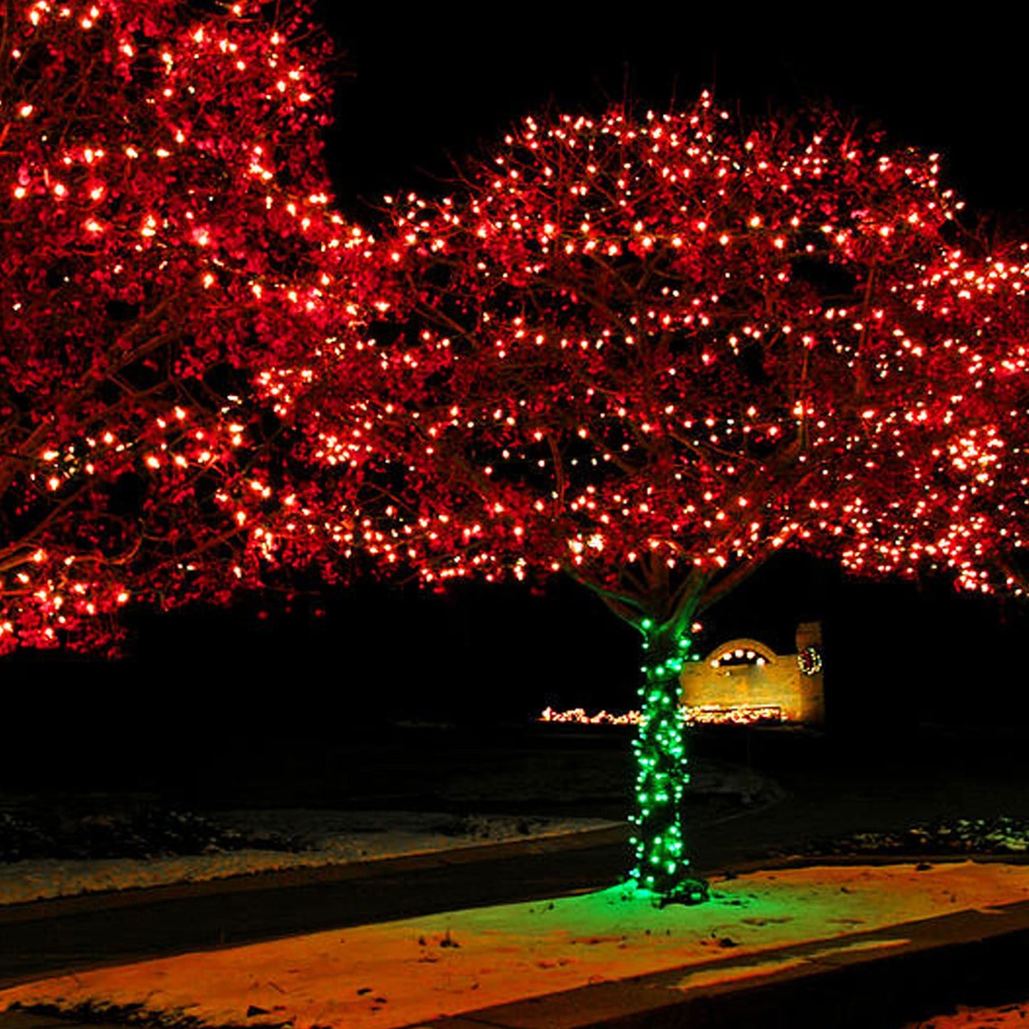TW SHINE Red Christmas Lights, 400 LED 132FT Outdoor Christmas Lights Plug in with 8 Modes, Waterproof Light Outdoor Green Wire, Indoor Xmas Decorations for Party Yard House Decor