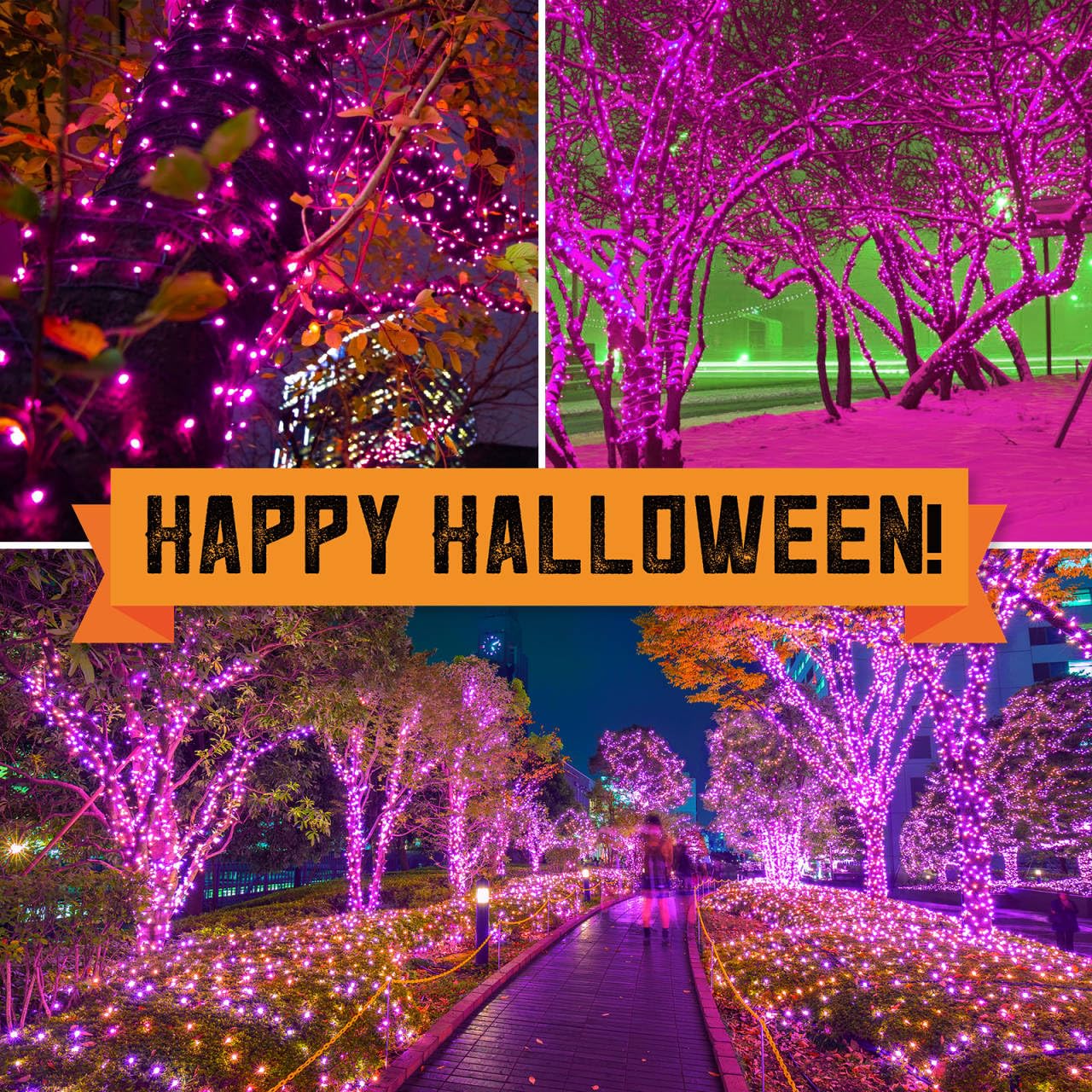 JUSTPRO 100LIGHTS Purple Extra-Bright with End Connectors Halloween Decorative Lights 5.98m UL Certified Mini String Light Set Waterproof for Halloween Home Garden Christmas Tree Party Patio Wedding