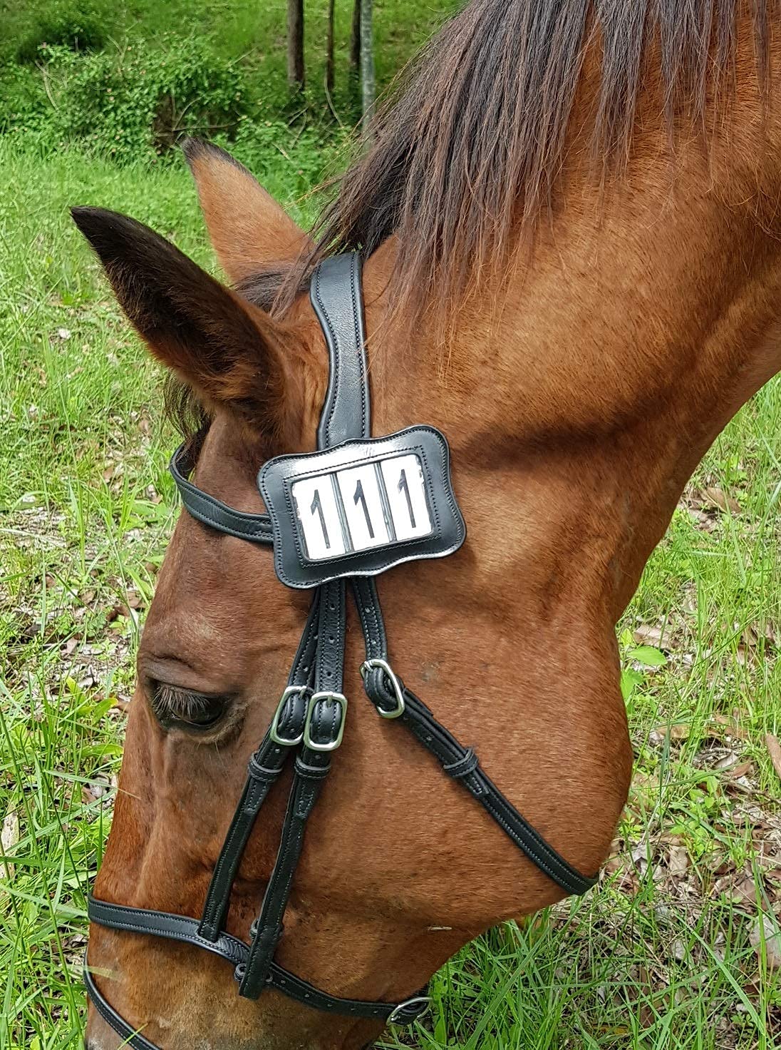 Echo Beach Equestrian Genuine Leather Number Holder Pair for Bridle or Saddle Pad. 3 Digit Easy Change Numbers. Built in Clip for Secure Attachment. 2 Number Holders Included