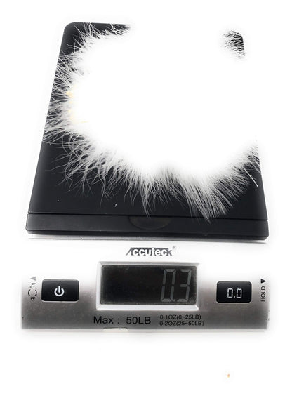 Creative Angler Strung Marabou Bird Feathers for Tying Fly Fishing Flies - Fly Tying Accessories - Perfect Choice for Tail & Wings and Easy to Tie On The Lure - Approximately 0.3 Ounces (White)