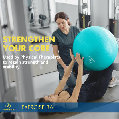 ProBody Pilates Exercise Ball - Multiple Sizes Gym Grade Balance Ball for Fitness, Workout, Pregnancy & Physical Therapy, Stability Yoga Ball Chair (Blue, 65cm)