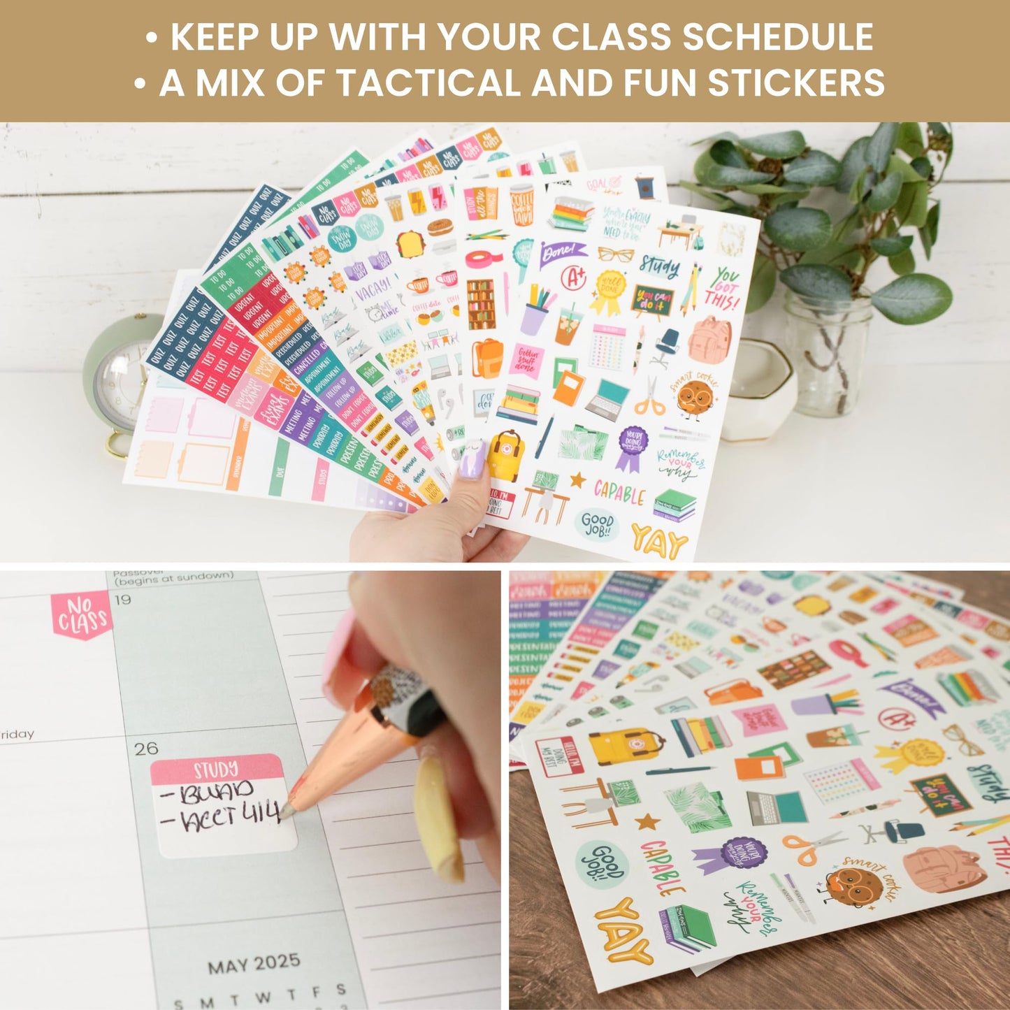 bloom daily planners Student Planner Stickers - 8 Sheets / 672 Stickers - Essential School Themed Variety Pack for Academic Year Planning - Icons & Illustrations to Track Assignments, Exams, & More