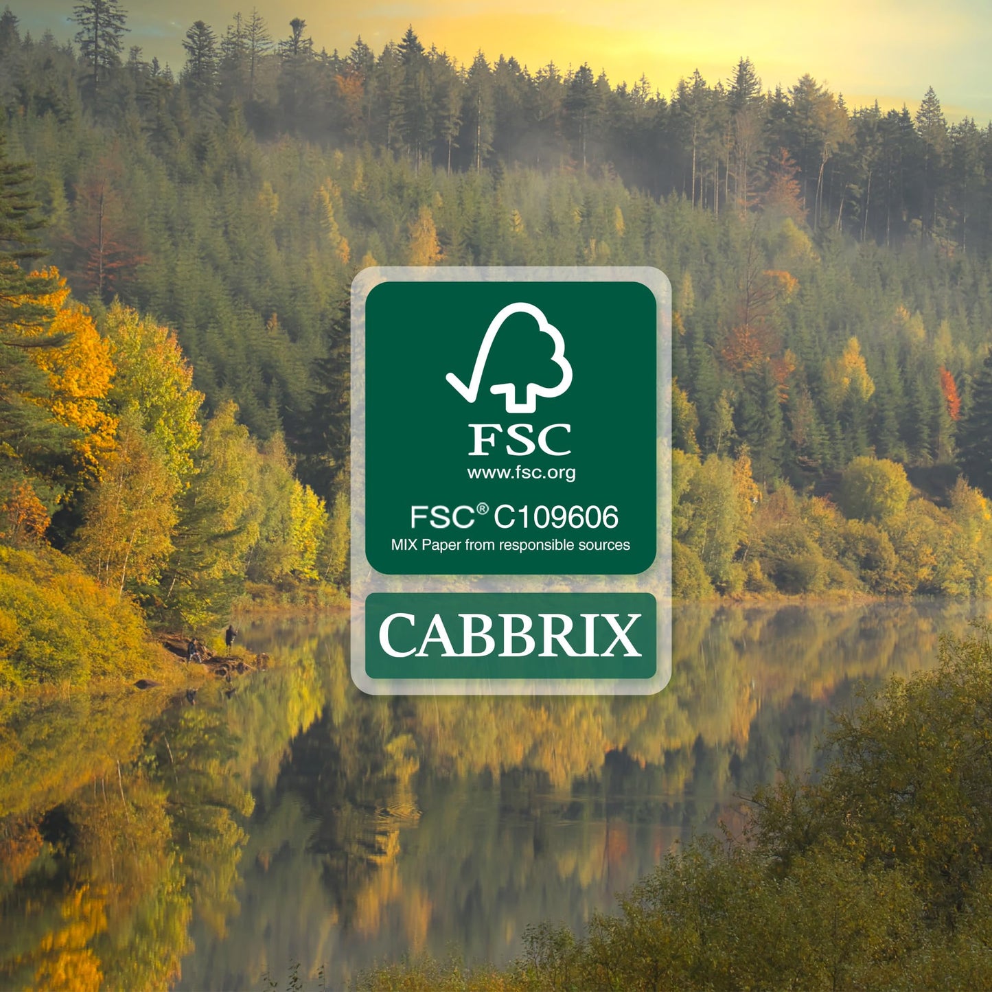 Cabbrix Desk Calendar 2026 with Desktop Mat, Floral Desk Pad Calendar 15 x 12 Inch 18 Months Runs From January 2026 to June 2027, Desk Blotter Calendar for Home School and Office (Floral)