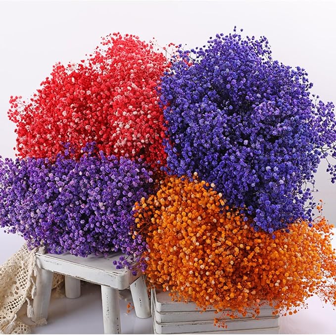 Dried Baby's Breath Bouquet - 17 Inch 1800+ Purple Dry Flowers, Natural Gypsophila Branches for Wedding, Table Vase Decor, DIY Wreath Floral, Home Office Party Garden Decoration