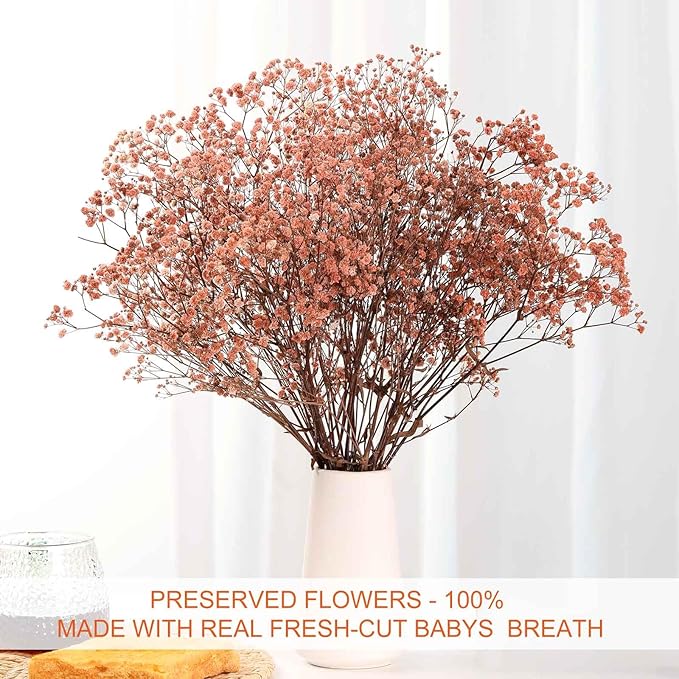 Babys Breath Dried Flowers Bouquet-17'' 1800+ Ivory Dry Flowers, Natural Gypsophila Branches for Wedding, Home Table Vase Decor, DIY Wreath Floral, Fall Thanksgiving Autumn Decoration (Brown, 2oz)
