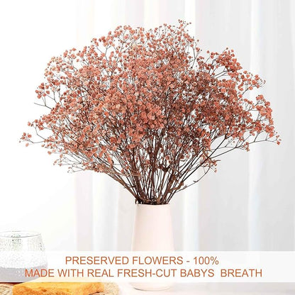 Babys Breath Dried Flowers Bouquet-17'' 1800+ Ivory Dry Flowers, Natural Gypsophila Branches for Wedding, Home Table Vase Decor, DIY Wreath Floral, Fall Thanksgiving Autumn Decoration (Brown, 2oz)