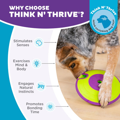 Outward Hound by Nina Ottosson Dog Treat Maze Dog Puzzle Enrichment Toy, Level 2 Intermediate, Green