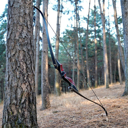 PMZ Recurve Bow and Arrow, Newset Professional Aldults Archery Hunting Bow, 60'' Wooden Takedown Bow, for Youth Beginners to Advanced Outdoor Practice & Hunting, Right Hand, 20 lbs