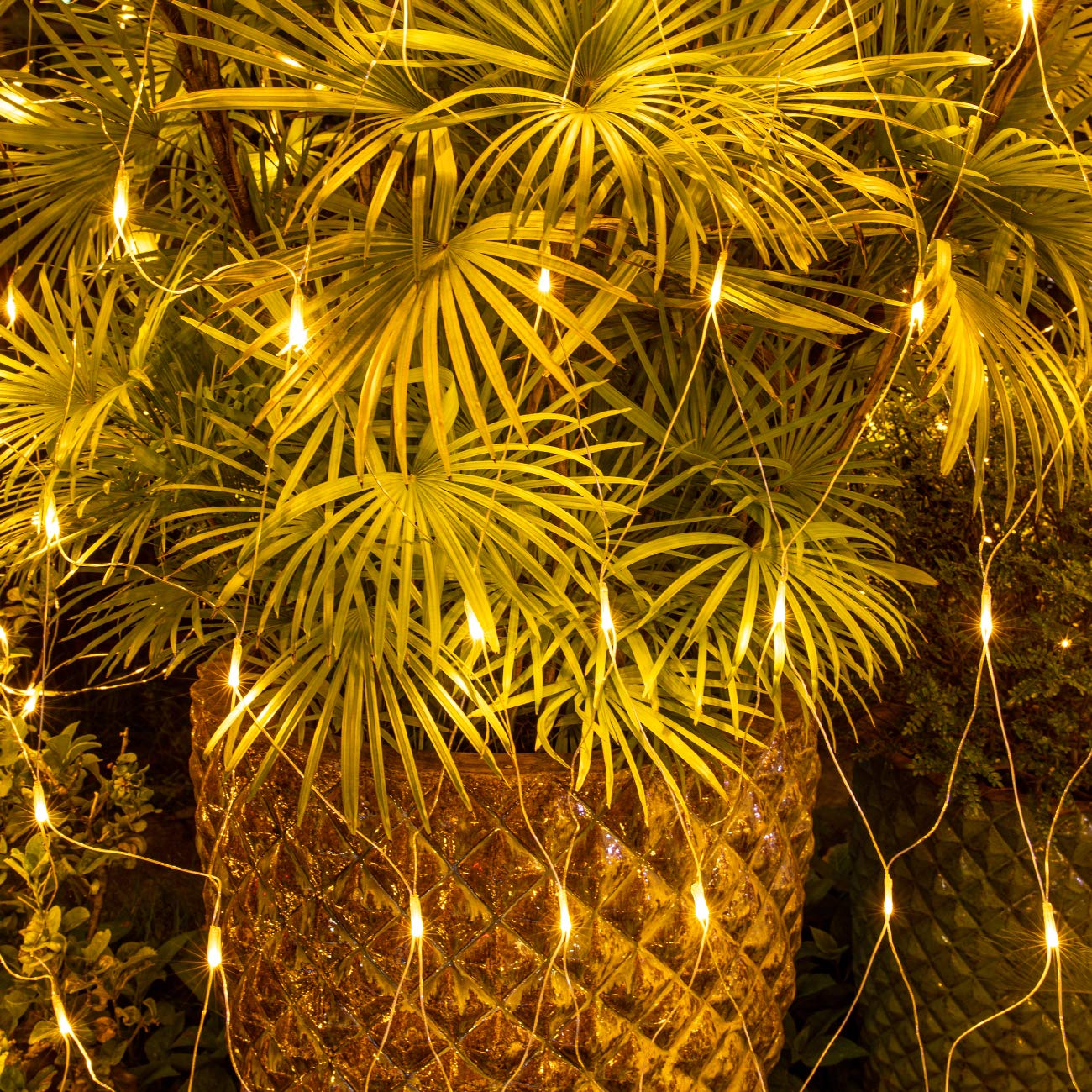 AWQ 200 LED 9.8ft x 6.6ft String Lights Net Mesh Christmas Lights 8 Modes for Christmas Wedding Party Home Garden Lawn Bushes Indoor Outdoor Decor (9.8ft x 6.6ft, Warm White)