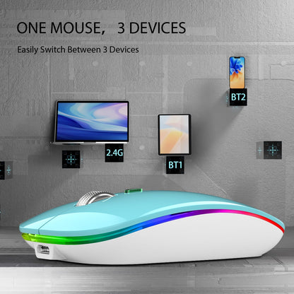 TENMOS Wireless Bluetooth Mouse, LED Slim (Bluetooth 5.1/5.0 + USB) 2.4GHz Rechargeable Silent Bluetooth Wireless Mouse with Type C Adapter for Laptop/MacBook/iPad OS 13 and Above (Matte Black)