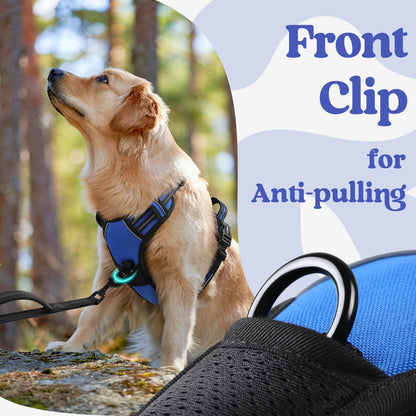 rabbitgoo Dog Harness Medium Sized, No Pull Pet Harness with 3 Buckles, Adjustable Soft Padded Pooch Vest with Instant Control Handle, Easy Walking Reflective Pet Vest for Medium Dogs, Blue, M