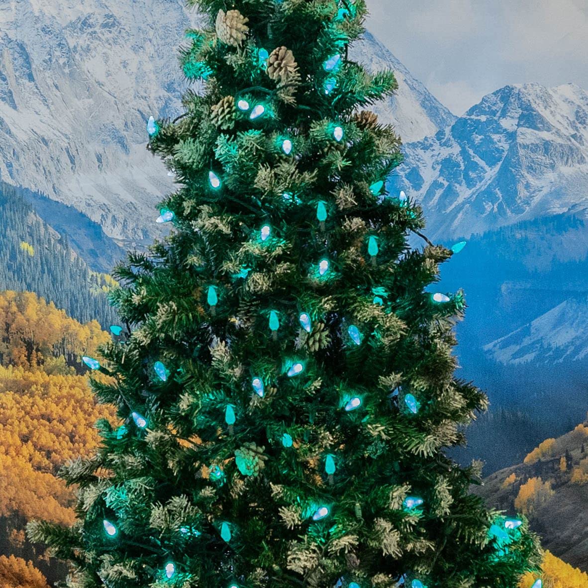 Novelty Lights 24FT 70 LED C6 Christmas String Lights, Outdoor Commercial Grade Tree Decorations, Permanent LED Lights (Green)