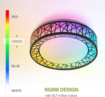 ASD 12 Inch Smart RGBW Flush Mount Ceiling Light with Remote - Matte Black 20W 120V 2700-6500K Dimmable Ceiling Light Fixture, WiFi App Control RGB Lights, Alexa & Google Assistant - ETL