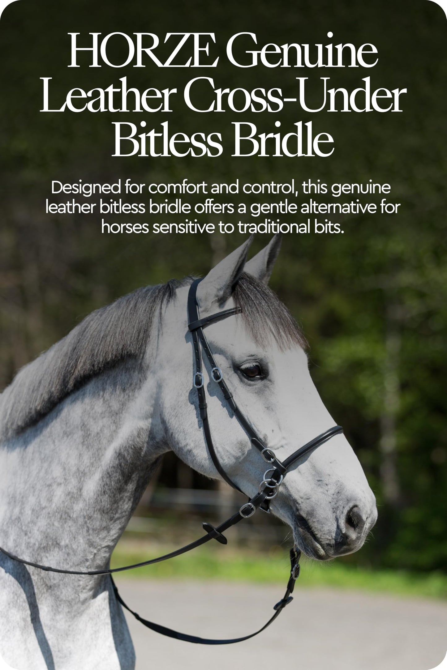 HORZE Genuine Leather Cross-Under Bitless Bridle | Web Reins Included - Black - Horse