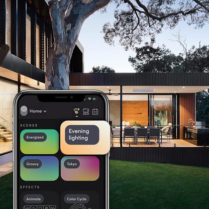 BR30 Smart Light