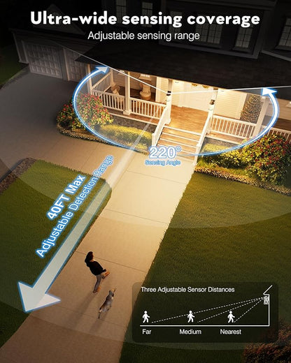 VIANIS Motion Sensor Porch Lights Outdoor, 2 Pack Black Exterior Lighting Fixtures for House, Waterproof Outdoor Wall Sconce Wall Mount, Modern Outside Wall Lantern with Dusk to Dawn for Garage, Patio
