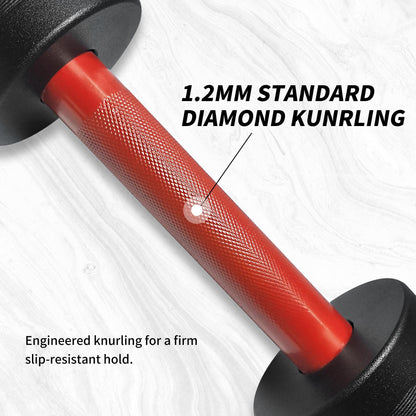 16" Olympic Dumbbell Handle, Loadable Dumbbells for 2-inch Olympic Weight Plates, Dumbbell Bar for Home Gym Strength Training, 2 Pair of Spring Collars Included
