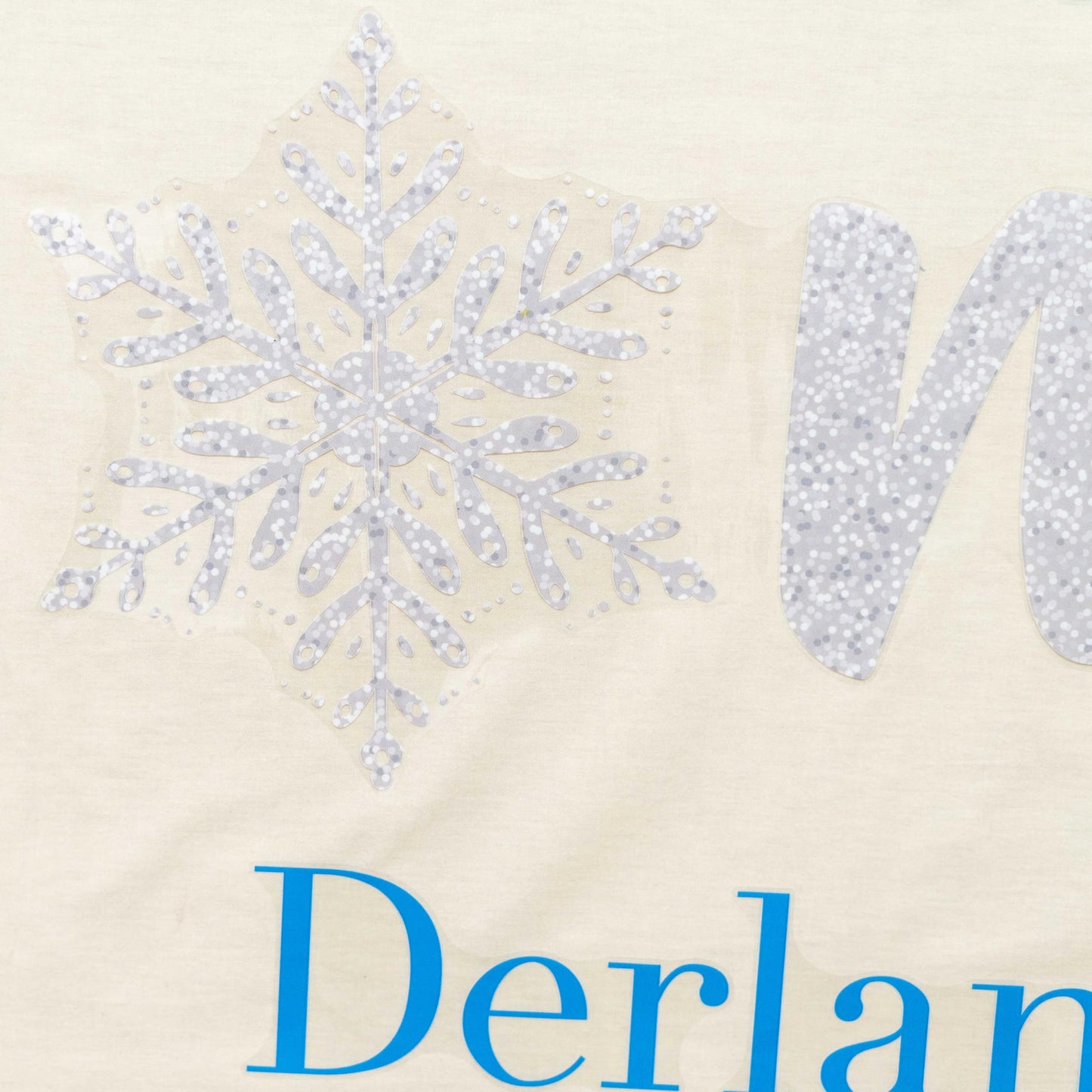 Capiont Winter Onederland Decal - Christmas 1st Birthday Snowflake Backdrop Sticker, Snowflake Themed Decor Wall Stickers for Party/Anniversary/Balloon Arch/Background (Winter Onederland)