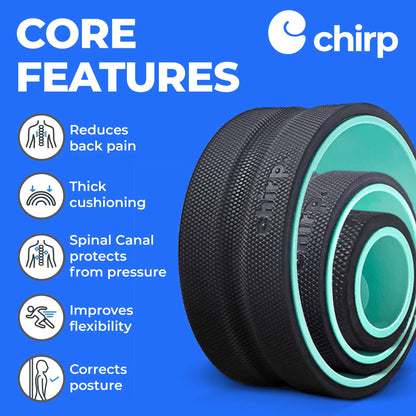Chirp Wheel Foam Roller – Targeted Back & Neck Relief, Lumbar Spine Stretcher, Spinal Decompression Back Stretcher, Massage Roller with Density Foam for Physical Therapy, Supports 500lbs, 2-Inch Mint