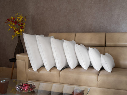 LANE LINEN Throw Pillow Insert - Pack of 2 16x16 Pillow Inserts for Decorative Pillow Covers, Throw Pillows Insert for Couch - White