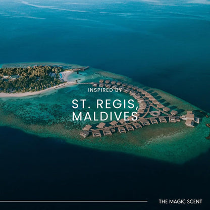 The Magic Scent Mandarin Blossom Diffuser Oil - Cold-Air & Ultrasonic Scented Oils for Diffuser Inspired by St. Regis Hotel, Maldives - Essentiala Oils for Diffusers Aromatherapy 10 ml