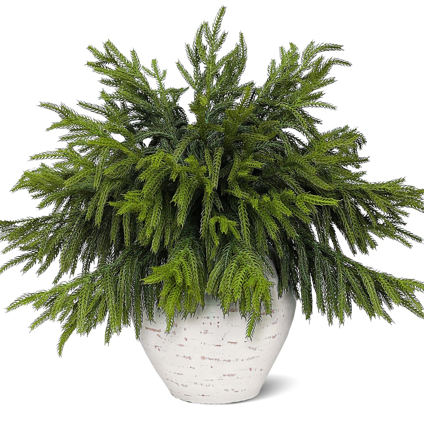 Juxdp 20 Pcs Soft Textured Norfolk Pine Branches, Artificial Christmas Green Plants Branch Faux Greenery Stem Fake Pine Picks for Vase DIY Crafts Garland Wreath Xmas Indoor Outdoor Decor(18 Inches)