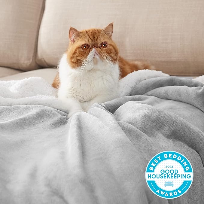 Bedsure GentleSoft Sherpa Fleece Blankets Queen Size for Bed - Thick and Warm, Soft Fuzzy Plush Queen Blanket for Winter, Light Grey, 90x90 Inches