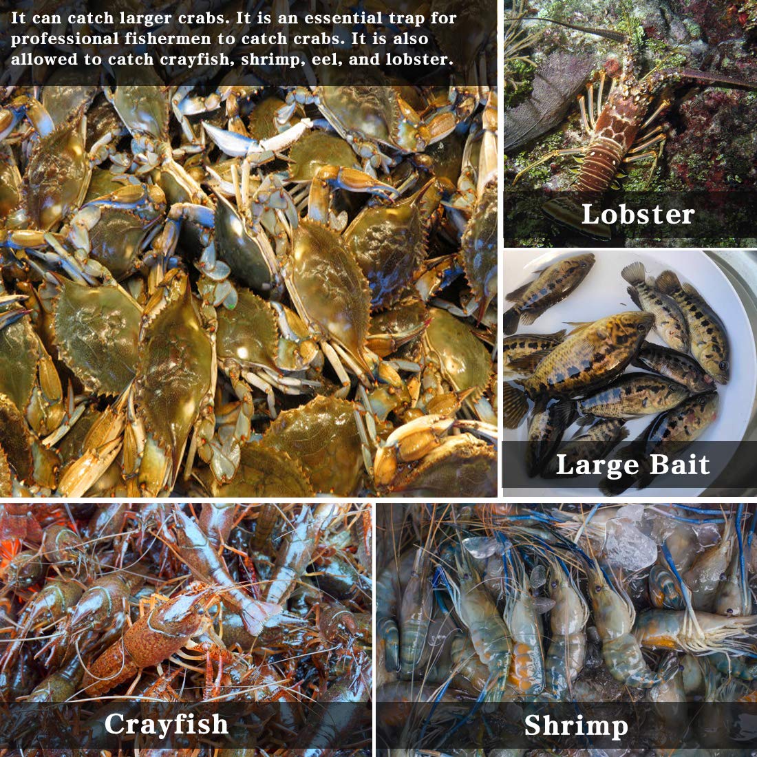Drasry Crab Trap Bait Lobster Crawfish Shrimp Portable Folded Cast Net Magic Collapsible Fishing Traps Nets Accessories for Blue Crabs 2PCS (23 in * 9.8 in) Green (0.61 in Mesh)