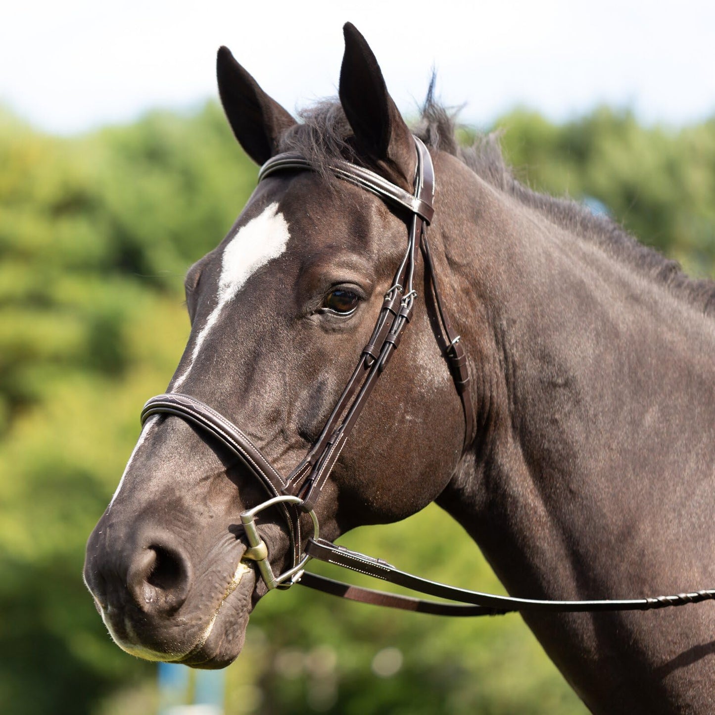 Equinavia Saga Adjustable Padded Fancy Stitched Hunter Bridle with Reins - Chocolate Brown - Pony