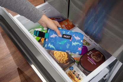 PackIt® Freezable Snack Box, Checked Out, Built with ECOFREEZE Technology, Collapsible, Reusable, Zip Closure with Buckle Handle, Designed For Work Snacks, Fresh Snacks On the Go, Adults, and All Ages