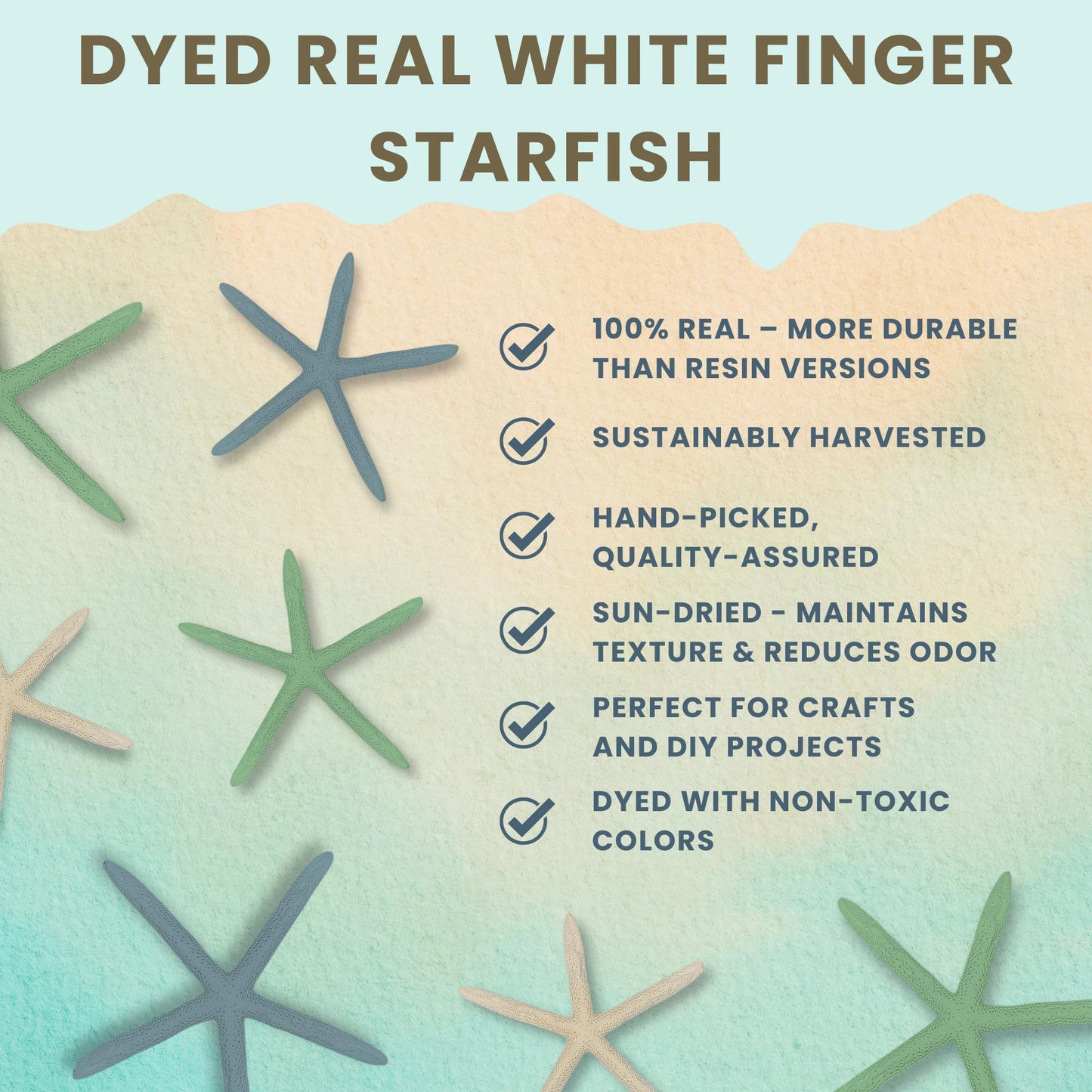 Starfish Decor - Star Fish for Craft - 10pk Real 2-4" Green Blue White Sea Stars - Beach Wedding Decor - Coastal Party Decorations