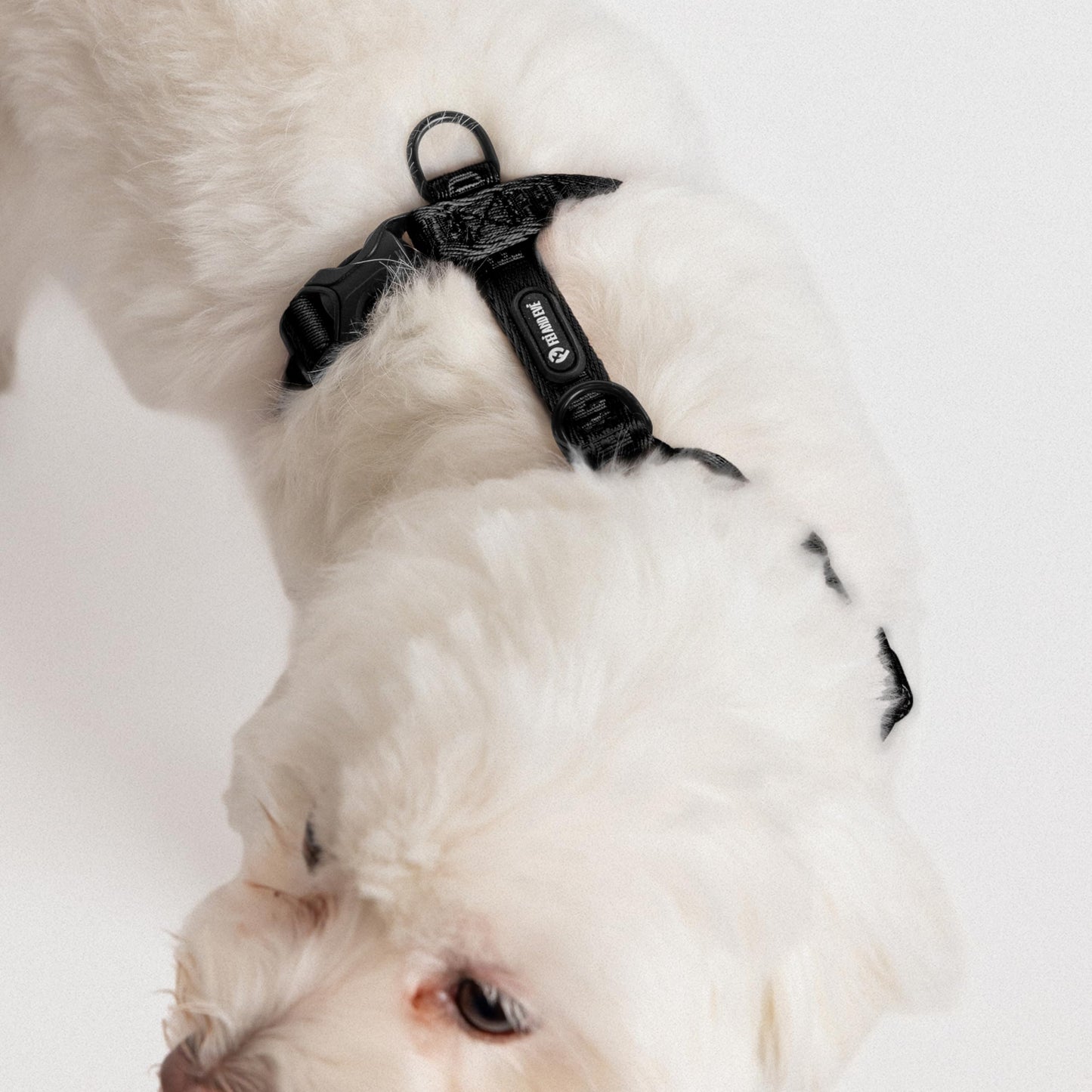 Fei & Eve Moxie H-Shape Dog Harness | Ultra-Lightweight | 3-Leash System for No-Pull Control | Easy On-Off | Adjustable 210D Breathable Nylon | Soft Padded Lining, Black, XS