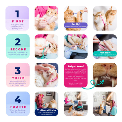 RYERCAT Dual Sided Cat Toothbrush - Kitten Toothbrush with Micro Head (Very Small) to fit into Cat/Kittens Mouth - Cat Dental Care Supplies - Pet Toothbrush for Cats (Amethyst Purple)